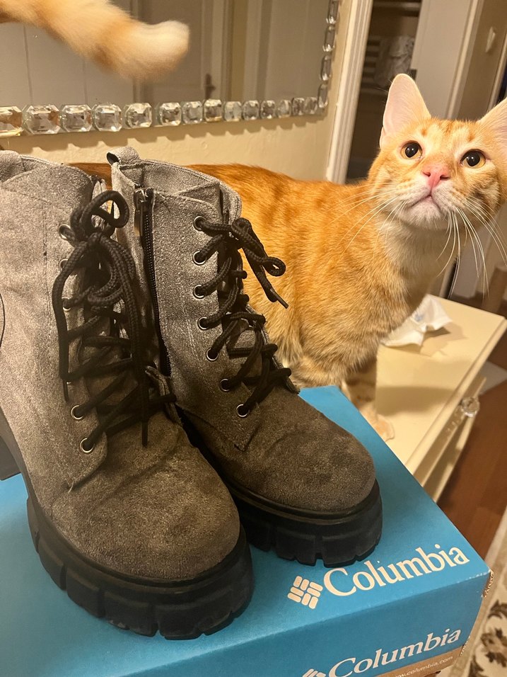 Gri Süet Kadın Bot - Görsel 2