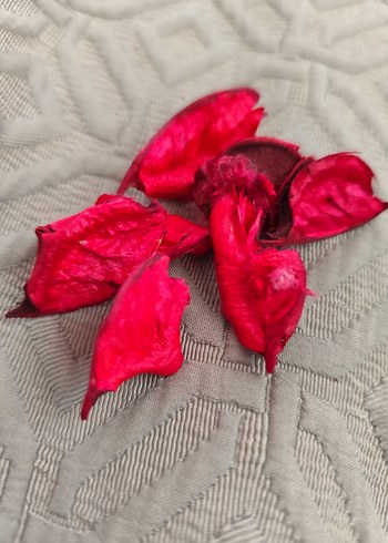 Kırmızı gül yaprakları - Görsel 4