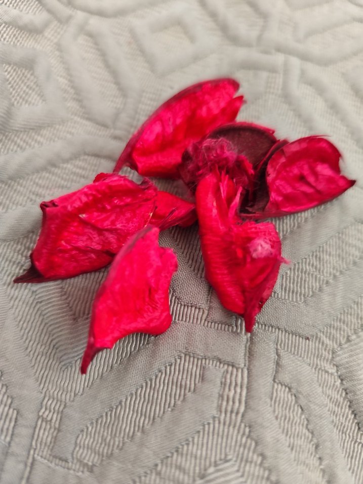 Kırmızı gül yaprakları - Görsel 4