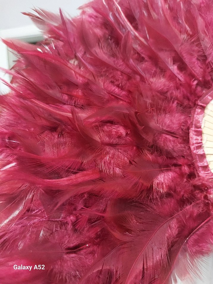 Kına yelpazesi - Görsel 3