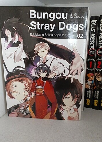  Bungou stray dogs