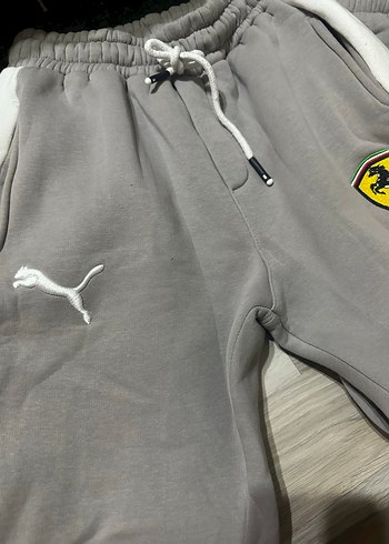 Puma m