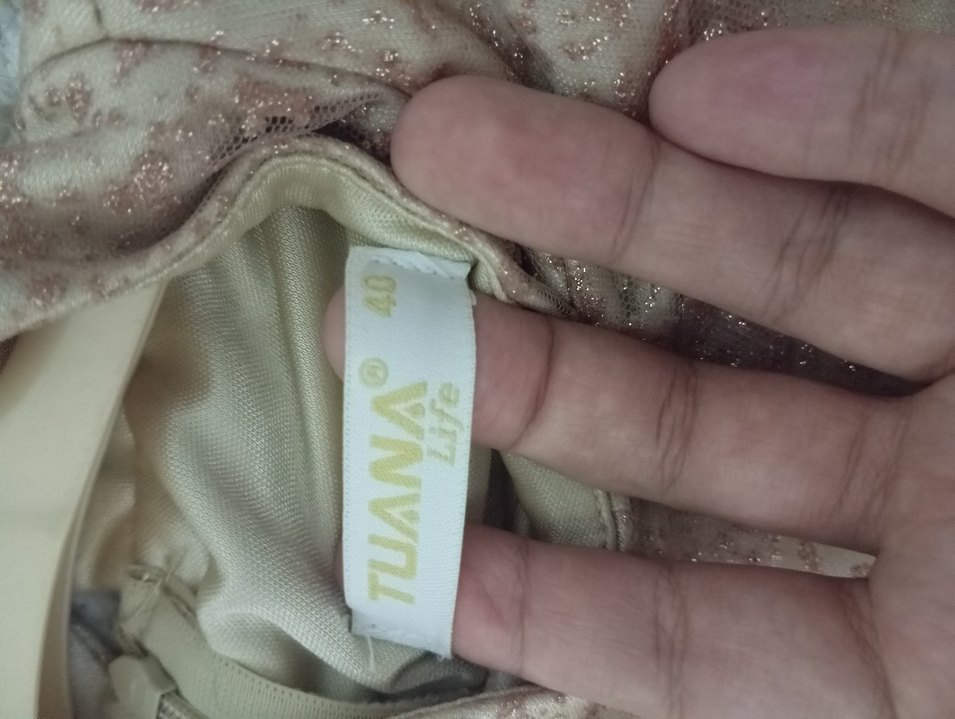 Bej Dantel İşlemeli Uzun Abiye Elbise - Görsel 3