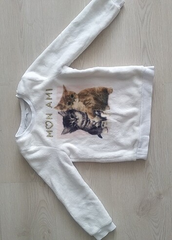 Sweatshirt 