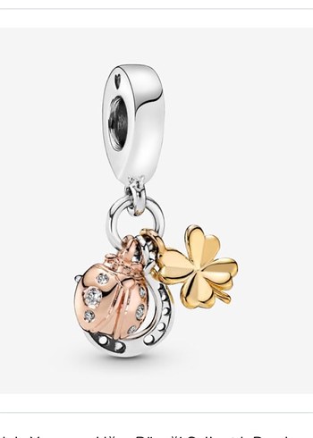 At nali pandora charm