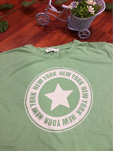 Diğer Mint Yeşili Crop