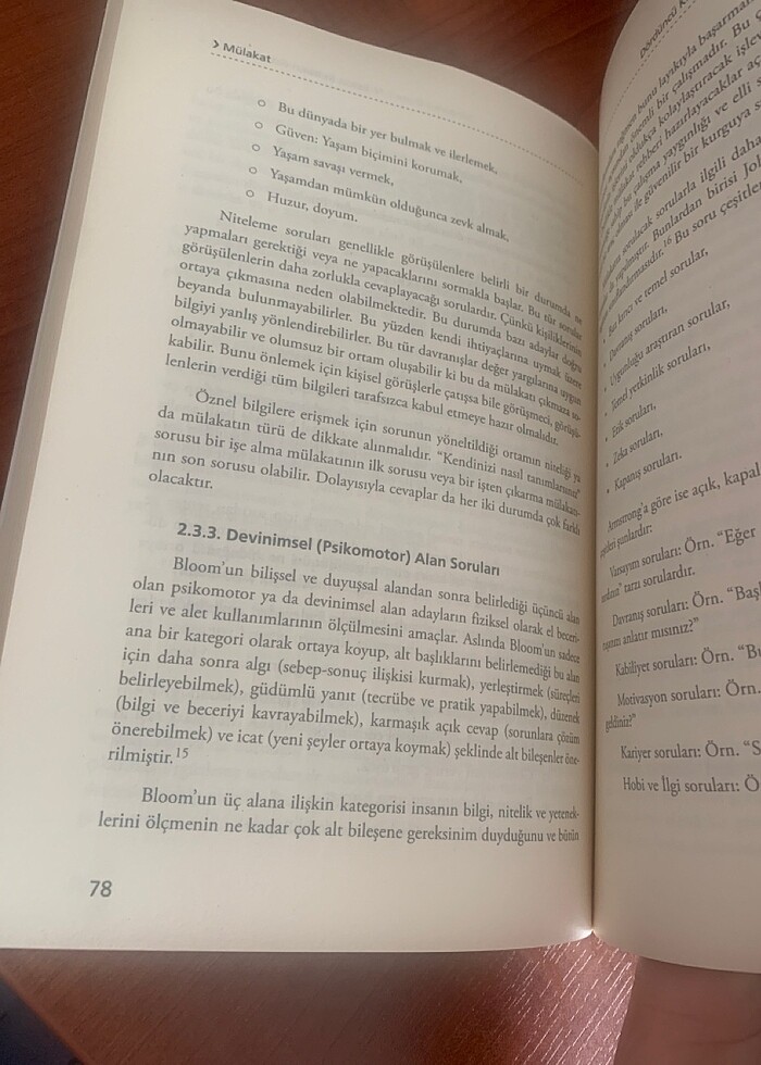 Mülakat teori süreç ve ilkeler kitabı - Görsel 4