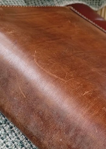 Hakiki manda derisi çanta - Görsel 3