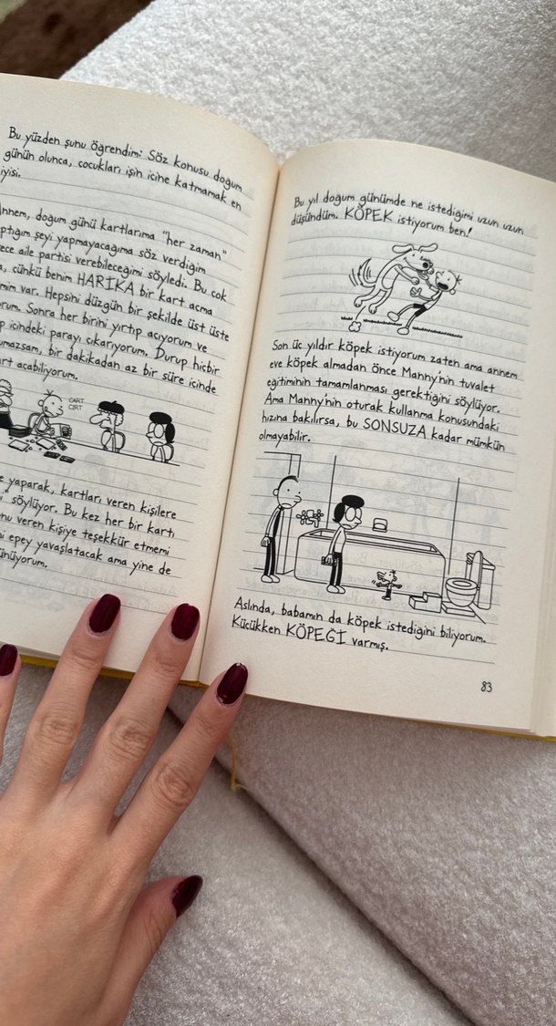 Saftirik Greg'in Günlüğü: İşte Şimdi Yandık! - Görsel 3