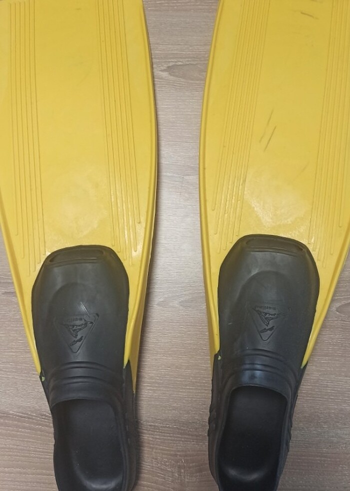 Deniz paleti - Görsel 3