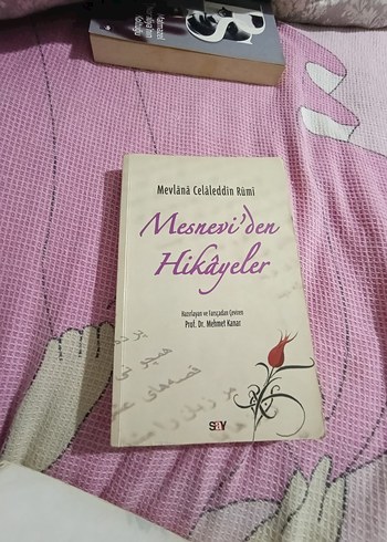 kitapların fiyatını sorunuz teker teker satıyorum - Görsel 7