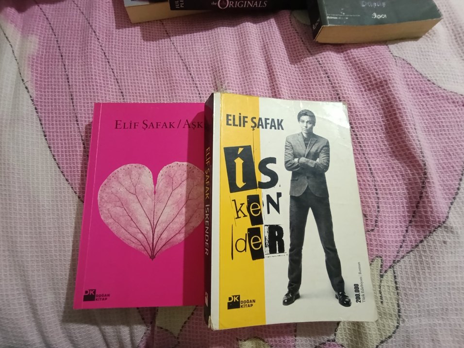 kitapların fiyatını sorunuz teker teker satıyorum - Görsel 3