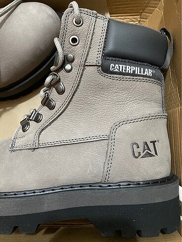 37 Beden gri Renk Cat bot