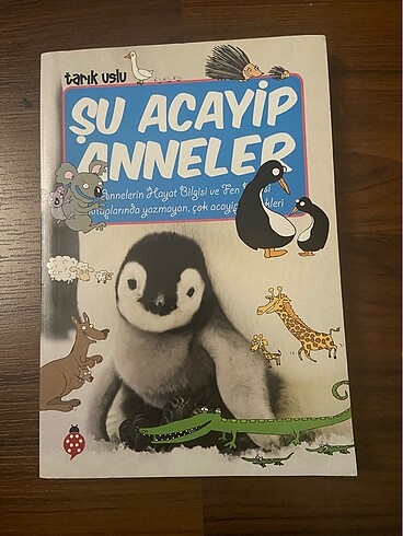 Şu Acayip Anneler