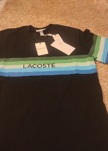 Lacoste tişört unisex