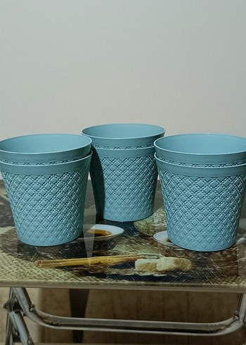 6 adet kaktüs sukulent saksı deliksiz