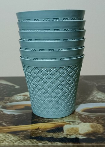 Diğer 6 adet kaktüs sukulent saksı deliksiz