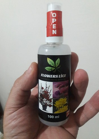 kaktüs sukulent çiçekler için