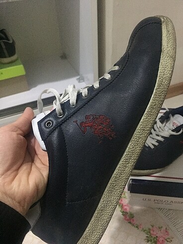 Us Polo
