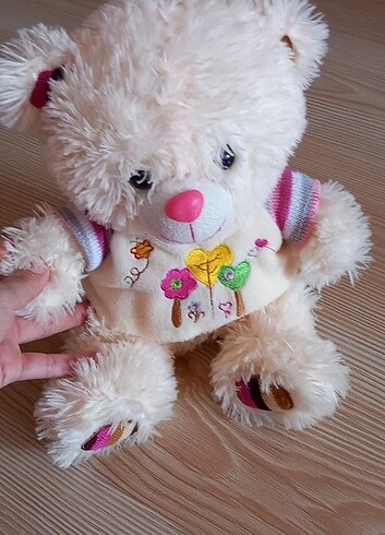 Pelus ayi