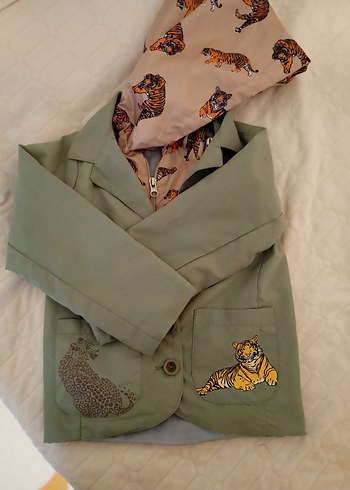 Erkek Çocuk Gri Düğmeli Yağmurluk - Görsel 3