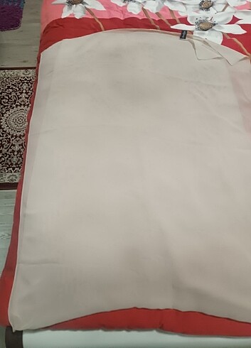 Şal sal
