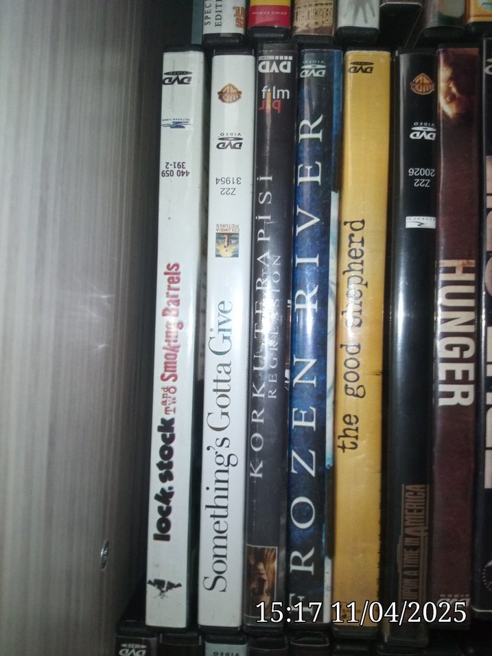 DVD Film Koleksiyonu Çeşitli Türler - Görsel 5