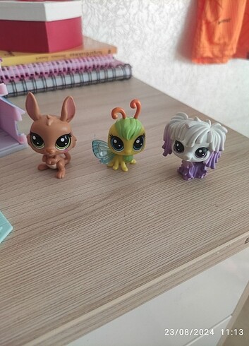 Miniş 3 adet 