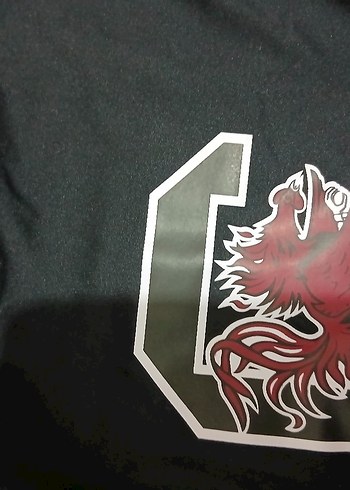 Siyah Baskılı Erkek Sweatshirt - Görsel 3