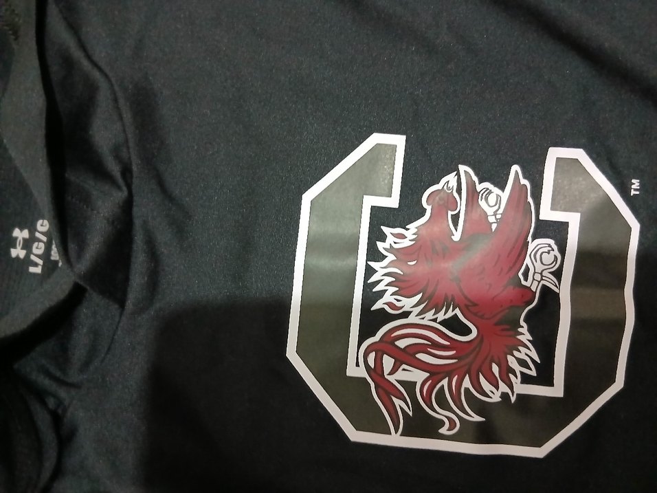 Siyah Baskılı Erkek Sweatshirt - Görsel 3