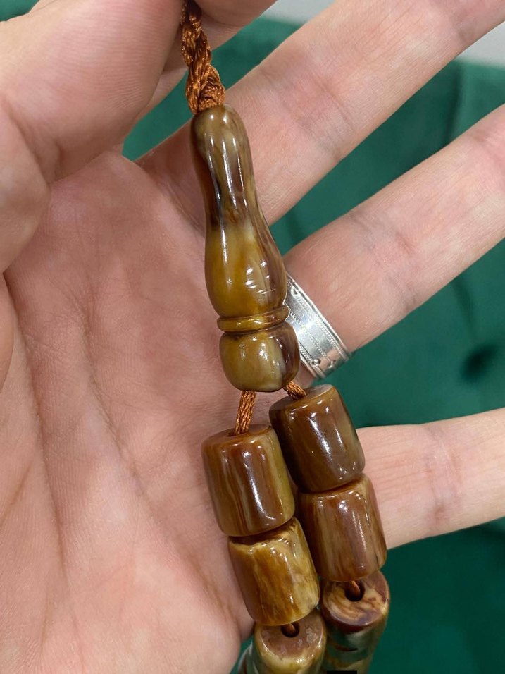 Osmanlı Çekoslovak bağa - Görsel 3