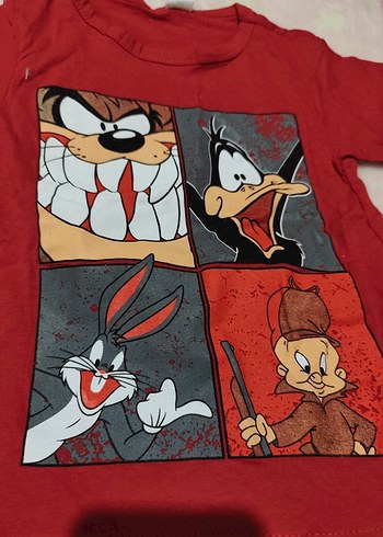 Erkek Kısa Kollu Takım - Görsel 4