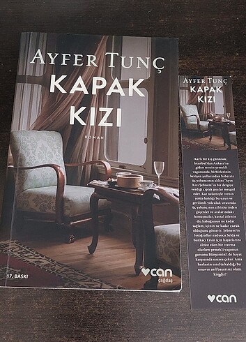 Ayfer tunç roman kapak kizi ve kirpinin zarafeti kitabi 