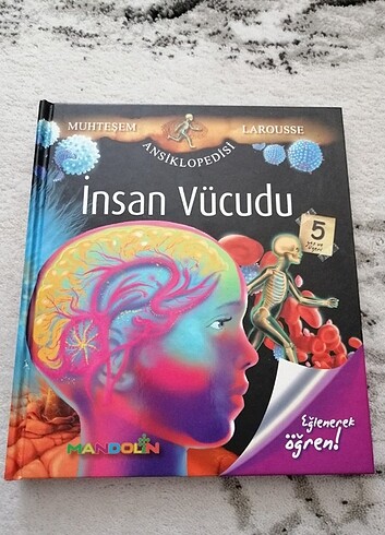 Meraklı çocuk 