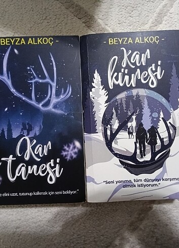 Kar küresi 