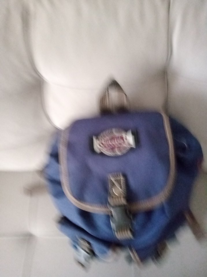 Yurtdışı ürünü Mavi Baskılı Kadın Sırt Çantası - Görsel 3