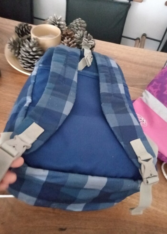 Alman Ergobag marka Erkek çocuk sırt çantası  - Görsel 2