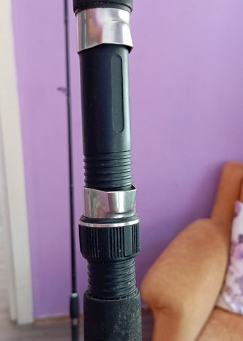 Beden Sarı Olta Kamışı