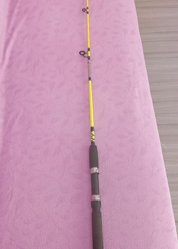 Sarı Olta Kamışı