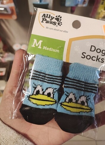 Köpek çorabı