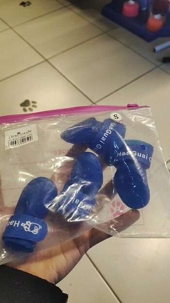 Köpek ayakkabısı