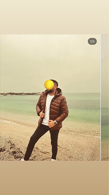 Pierre Cardin Taba Mont