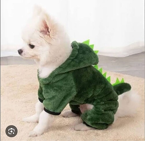 Dinazor köpek kıyafeti