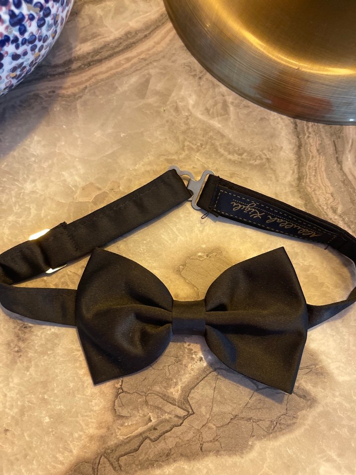 Klasik Siyah Erkek Papyon - Görsel 2