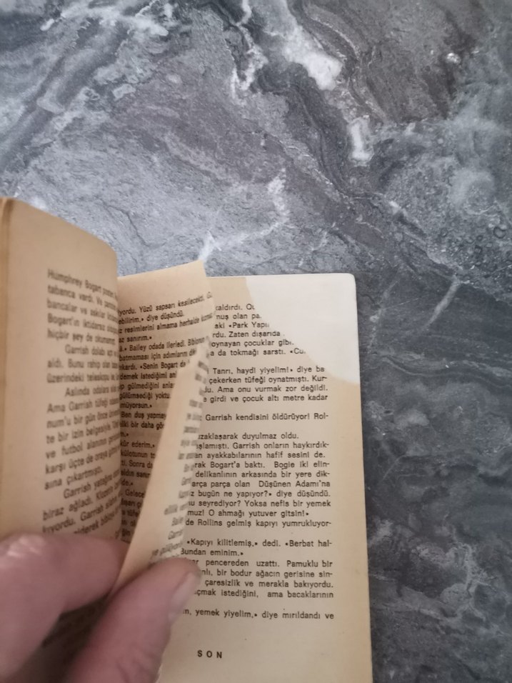 Stephen King - Sis Romanı - Görsel 5