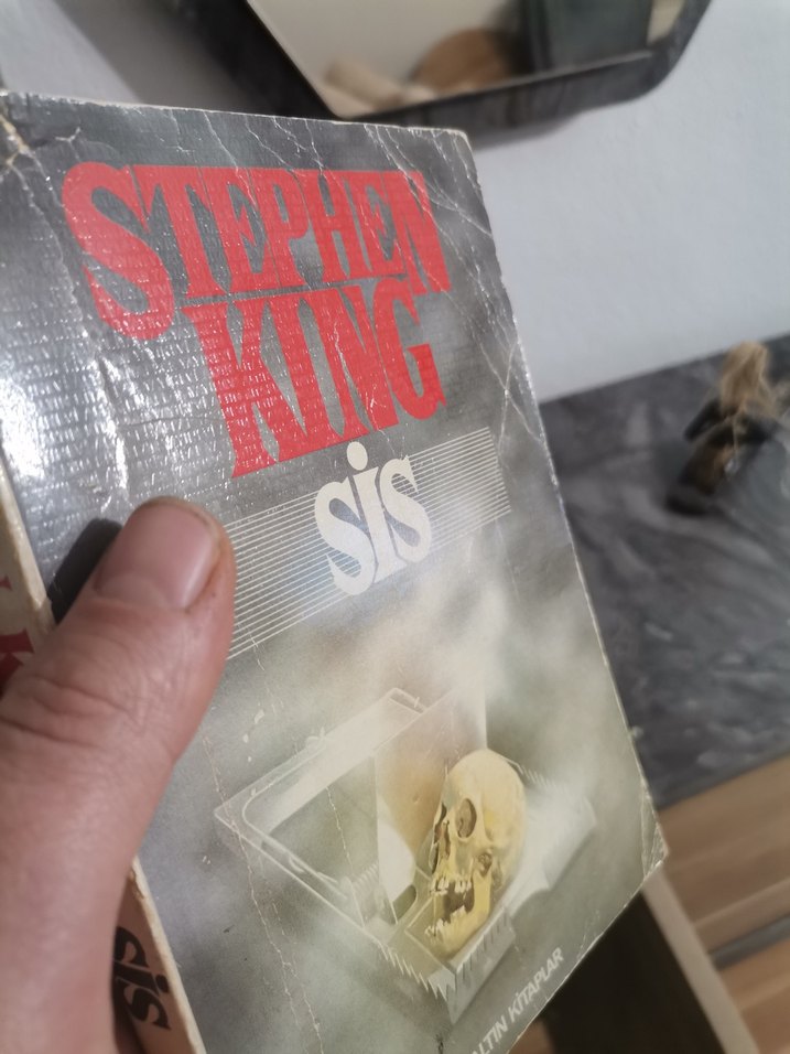 Stephen King - Sis Romanı - Görsel 3