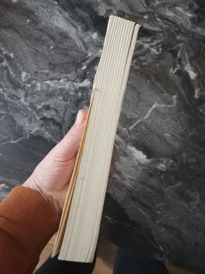 Stephen King - Hayvan Mezarlığı (Gecenin Pençesi) - Görsel 5