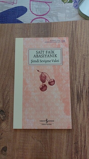 Şimdi Sevişme Vakti Sait Faik Abasiyanik 
