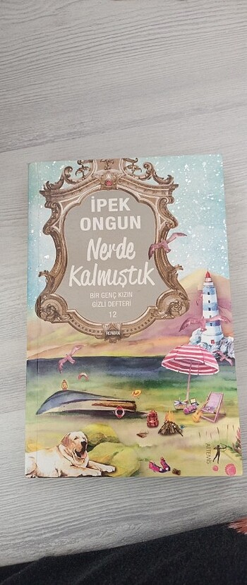 Bir genç kızın gizli defteri 12.kitap