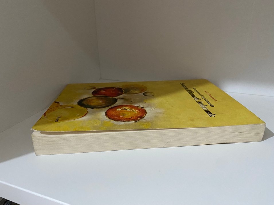 Kuram ve Uygulamada Sosyal Hizmeti Anlamak - Görsel 3